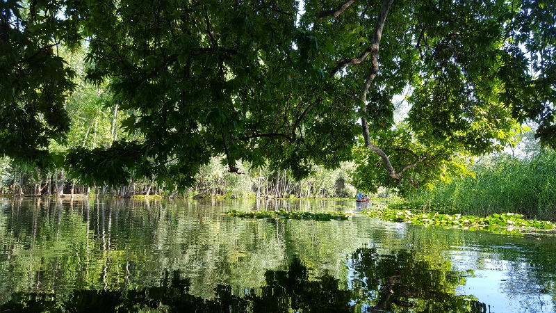 20170623 162410 800x450