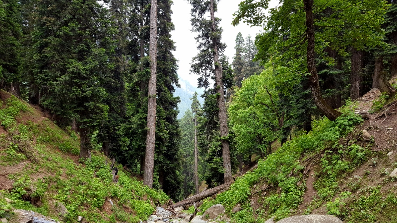 20170625 130407 800x450